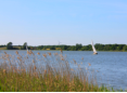 Segeln auf der Schlei bei Lindaunis und Arnis